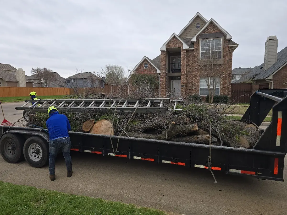 Expert Tree Fertilization with proper safety equipment in Milnor
